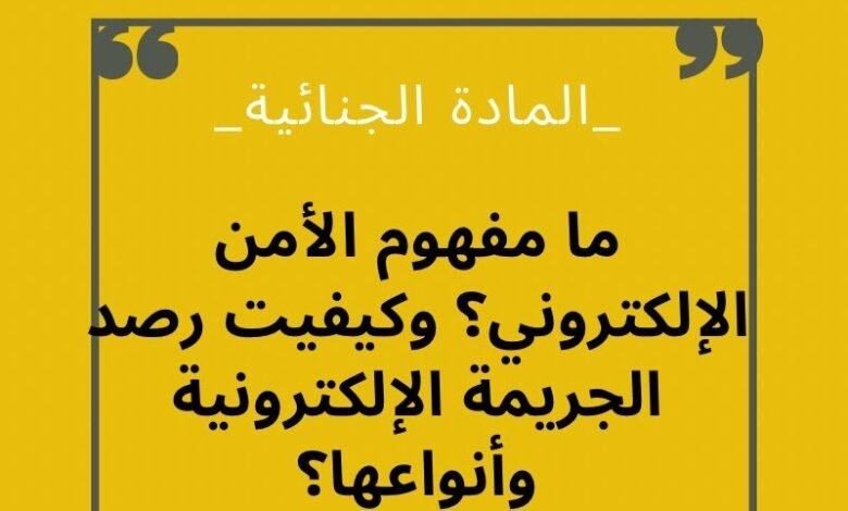 ما مفهوم الأمن الإلكتروني ؟ وما هي المساطر الإجرائية في رصد الجريمة الإلكترونية وأنواعها ؟