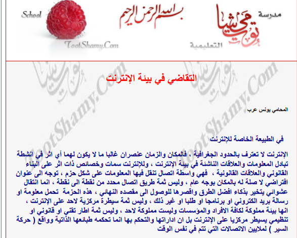 التقاضي في بيئة الإنترنت (للمحامي يونس عرب).