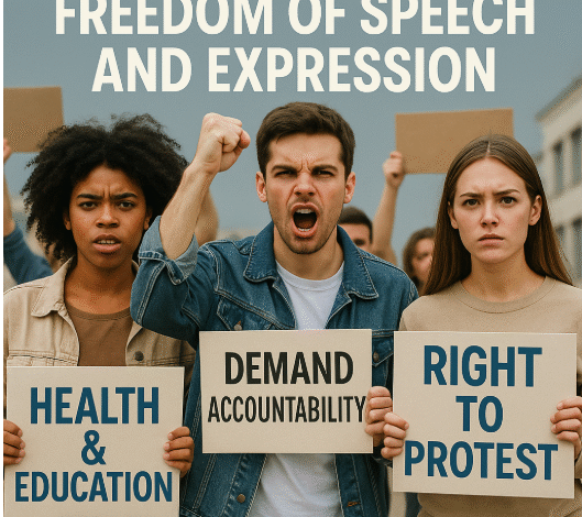 حرية الرأي والتعبير، التظاهر من منظور المجلس الوطني لحقوق الإنسان